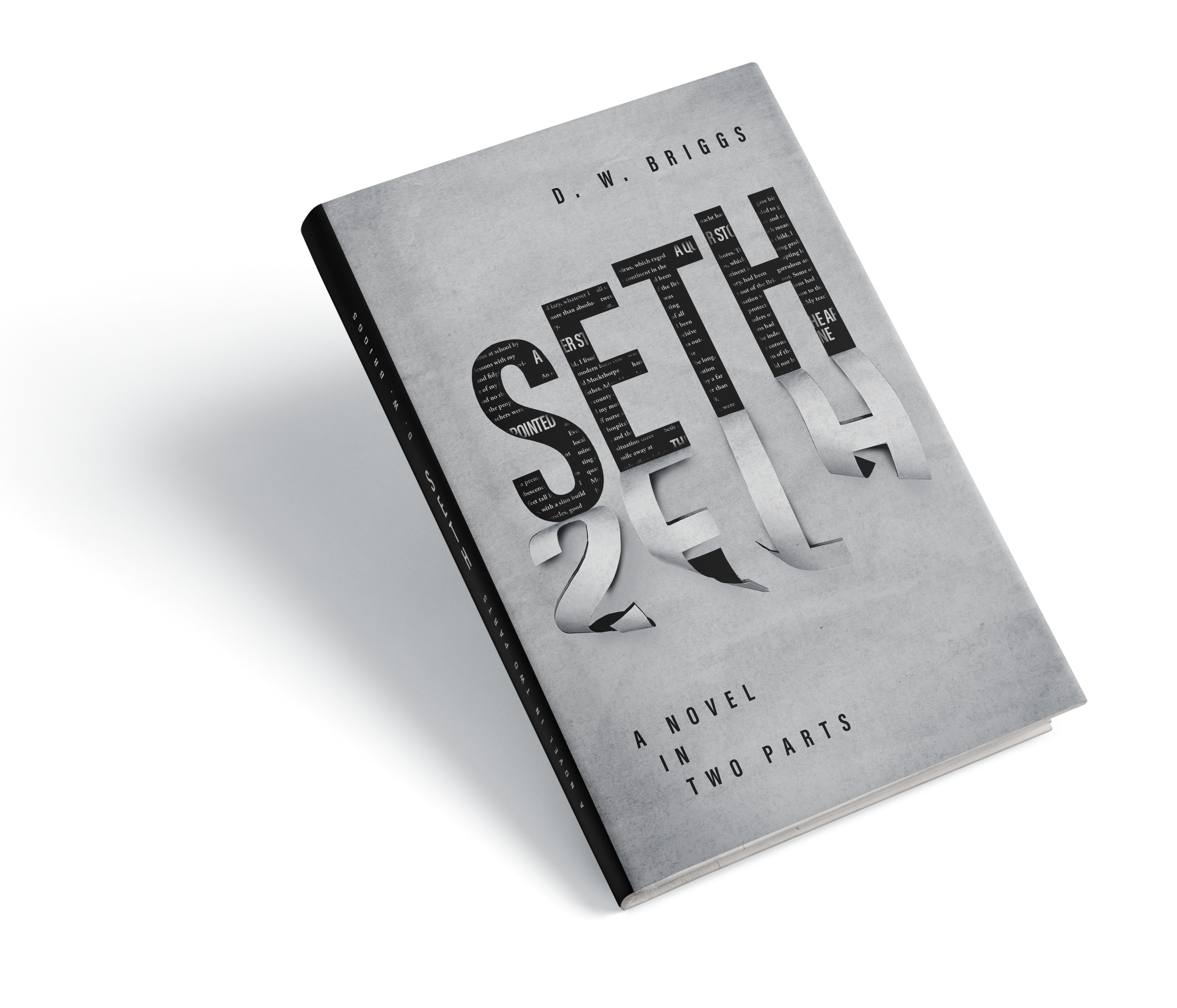 Seth - A novel in two parts